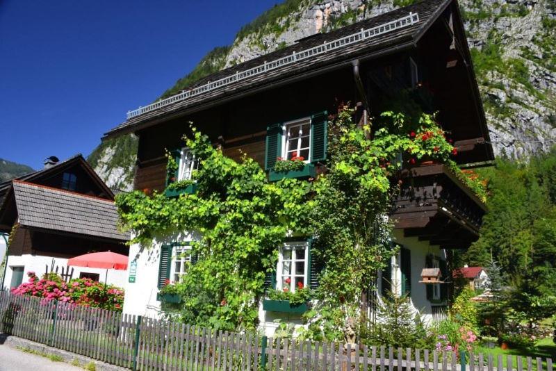 B&B Haus Hemetzberger Hallstatt Eksteriør bilde